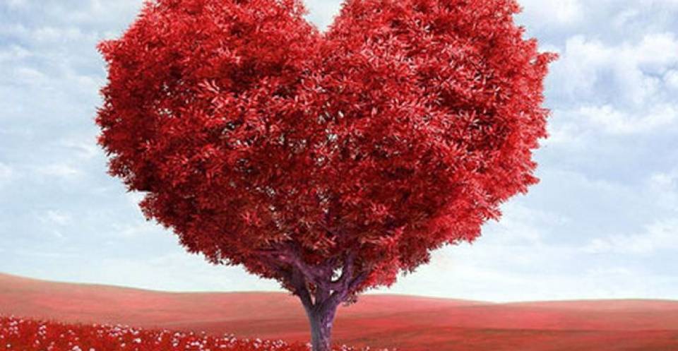 27 лет, какая годовщина - свадьба красного дерева, что дарят на 27 лет свадьбы