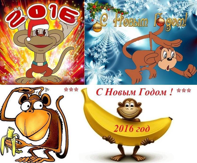 Китайский гороскоп для обезьяны на 2021 год - год большой удачи | всё на пользу!!!