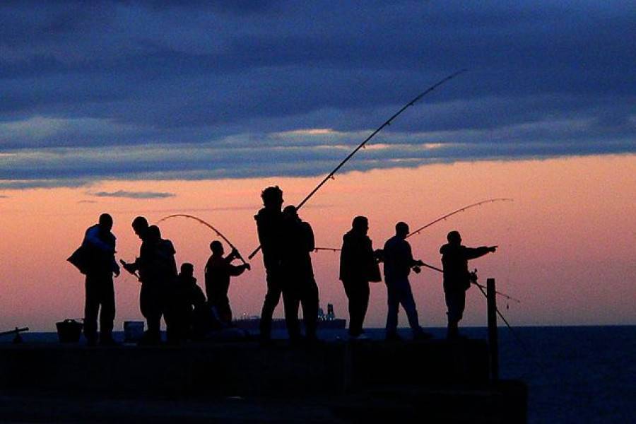 Соревнования по рыбалке – бизнес-идея для души - бизнес журнал