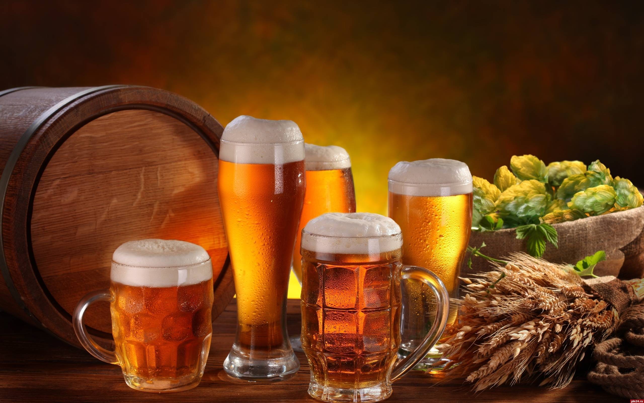 Когда отмечается международный день пива?