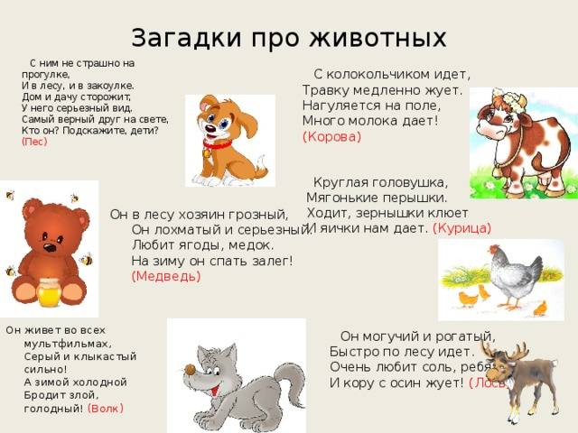 Загадки о животных для детей с ответами