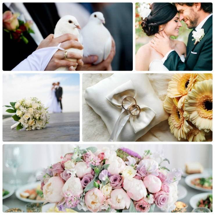 Выбираем цветы для свадьбы – сезонные цветы и их значение
