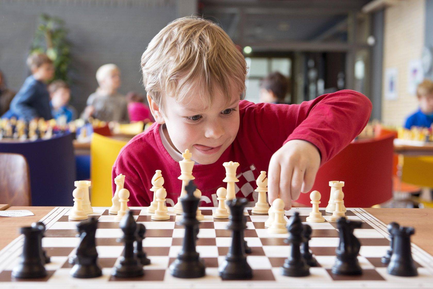 Лучшие онлайн-курсы по шахматам она 2023 год