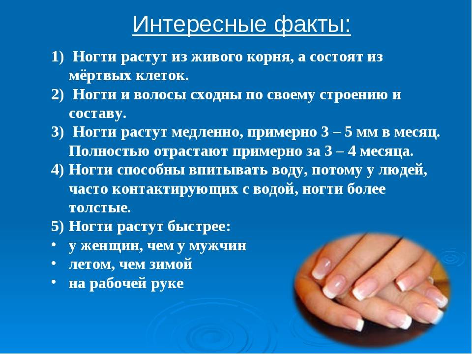 Интересные факты о ногтях