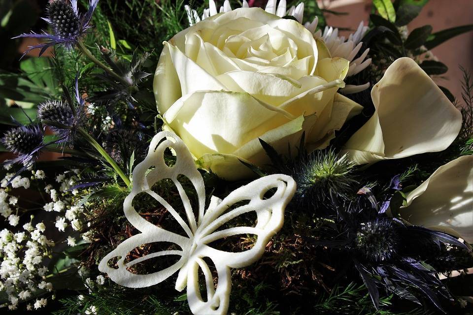 Что означает белая роза на языке цветов? :: syl.ru