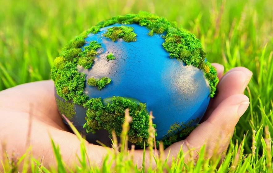 «зеленые» и трендовые: как работать с поколениями по вопросам экологии