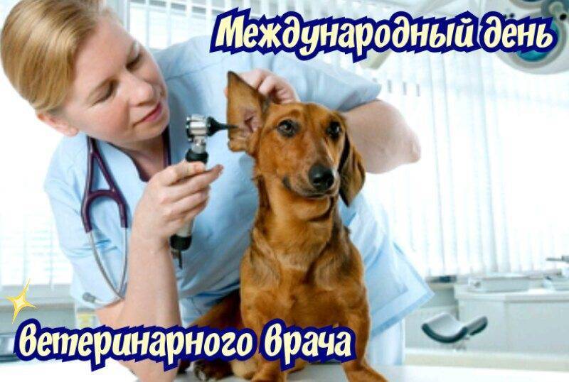 Международный день ветеринарного врача 