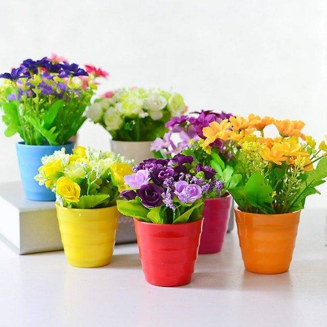 Приметы и суеверия: дарить цветы (в горшках, отломанные или комнатные), сколько цветом можно дарить?