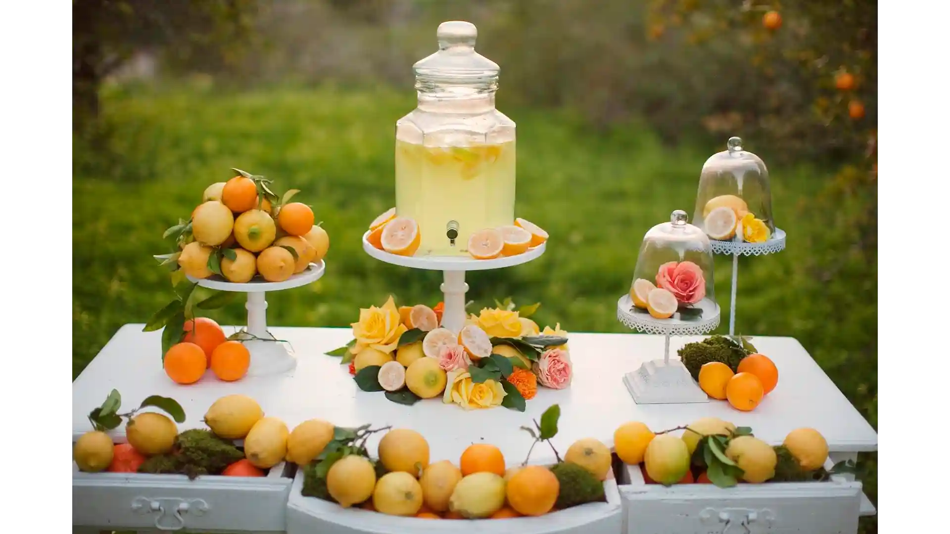 Какие фрукты поставить на свадебный стол и в каком количестве? красивое оформление фруктовой нарезки