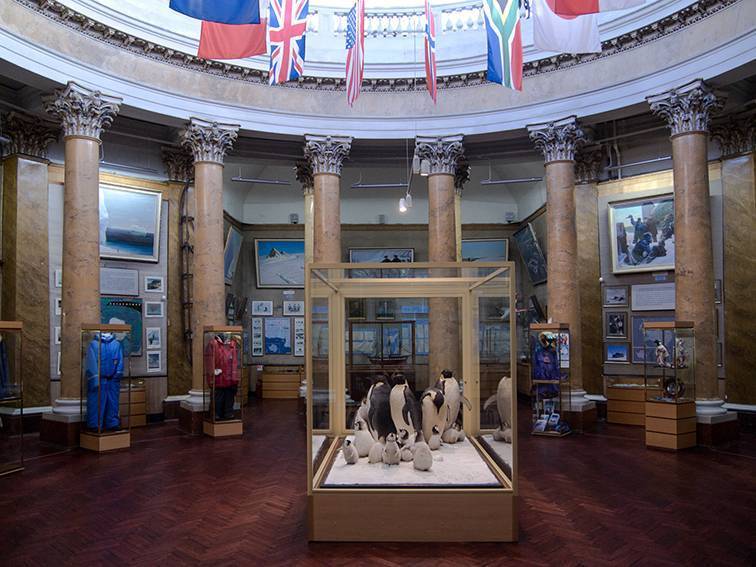 Музей арктики и антарктики, санкт-петербург: полярное сияние и белые медведи