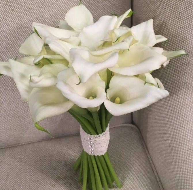 Букет невесты из самых символичных свадебные цветы – каллы