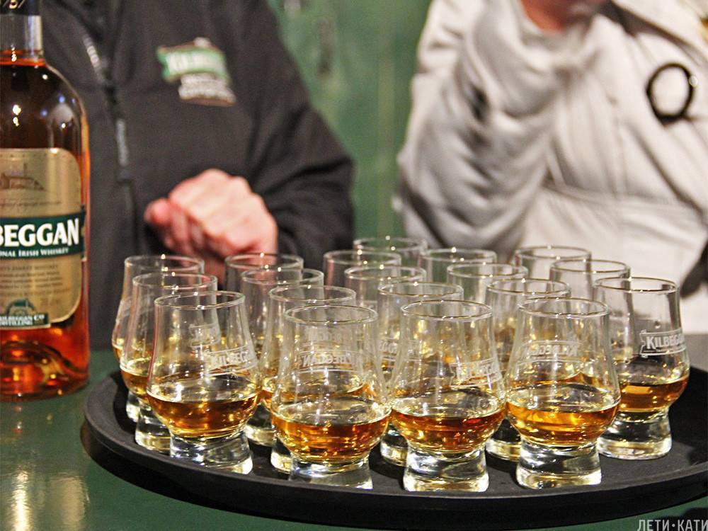 Благородный напиток: как правильно пить шотландский виски
