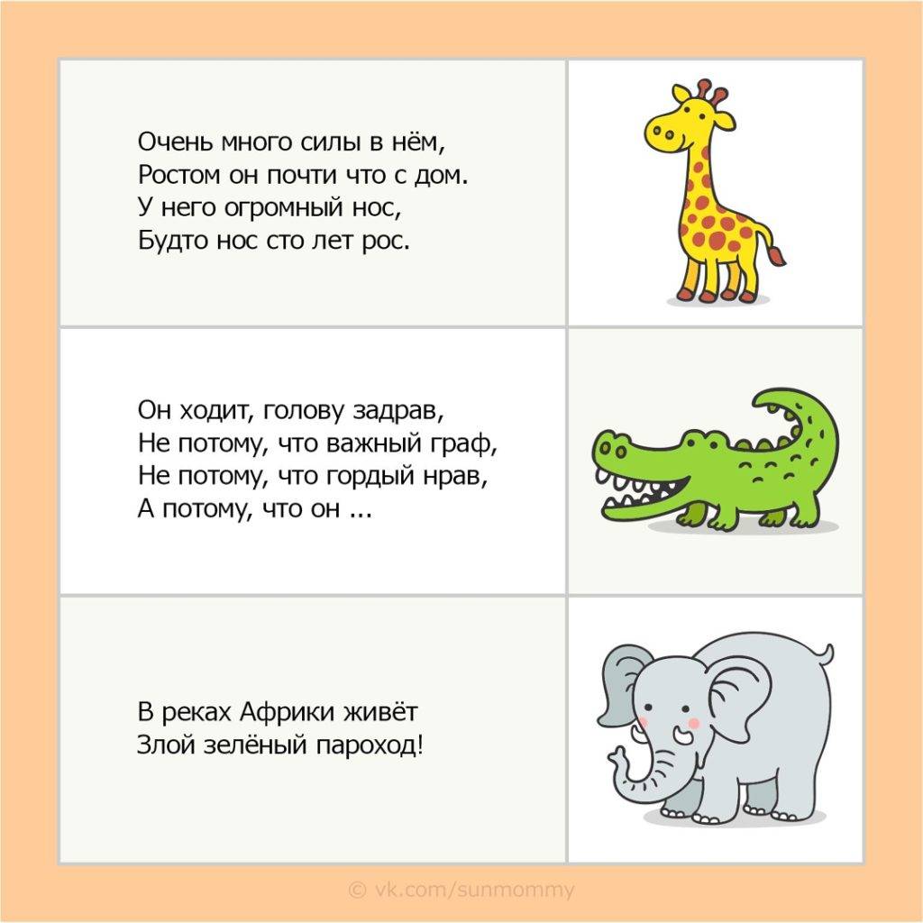 Загадки про животных для детей 5-7 лет с ответами