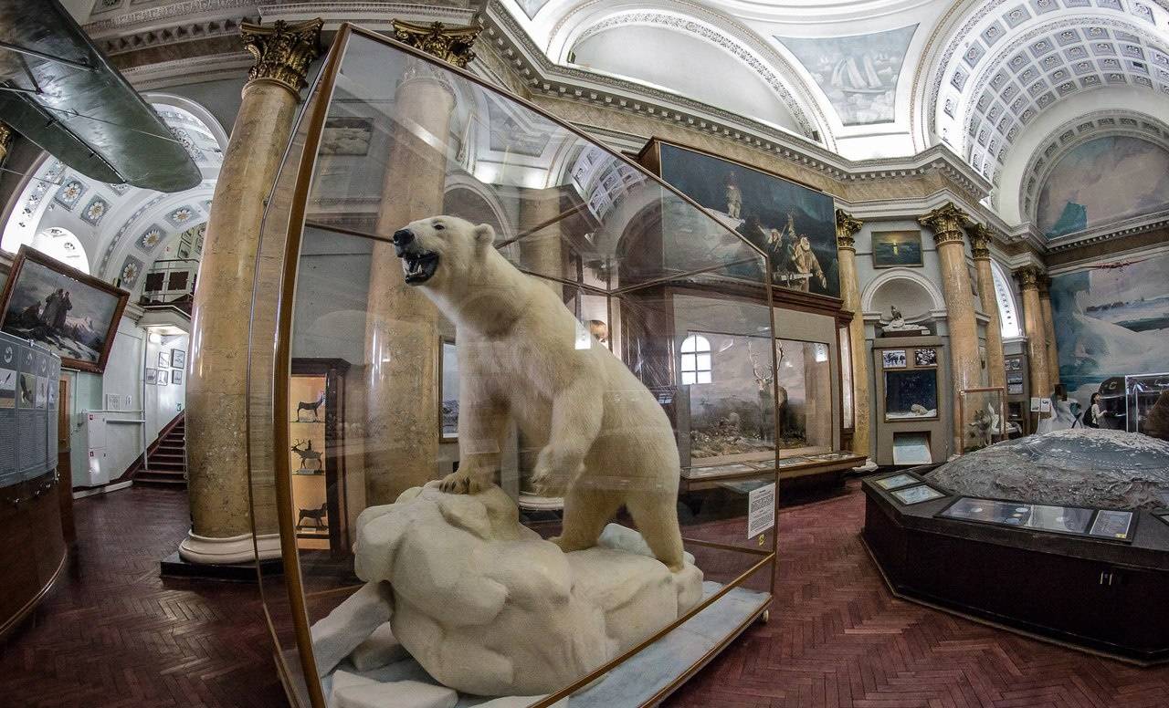 Российский государственный музей арктики и антарктики в городе санкт-петербург
