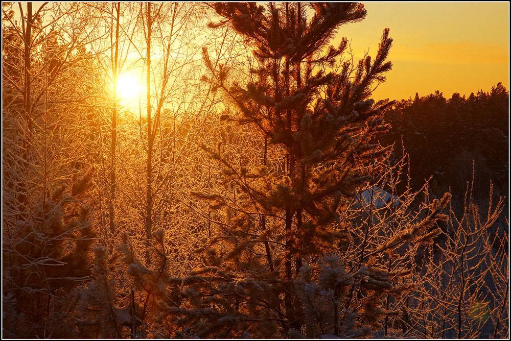 День зимнего солнцестояния: что за день такой, приметы и обычаи, что можно и нельзя делать в этот день