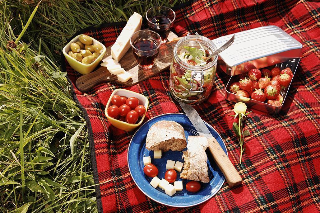 Меню для пикника на день рождения на природе с шашлыком — красиво и недорого