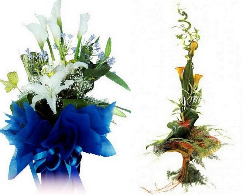 Какие цветы подарить мужчине на 40 лет. выбор цветов мужчине на юбилей
