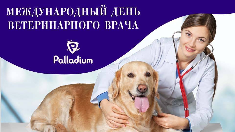 День ветеринарного врача 27 апреля 2019 года отмечают  во многих странах мира
