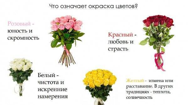 Как выбрать цветы для девушки чтобы выразить полноту своих чувств