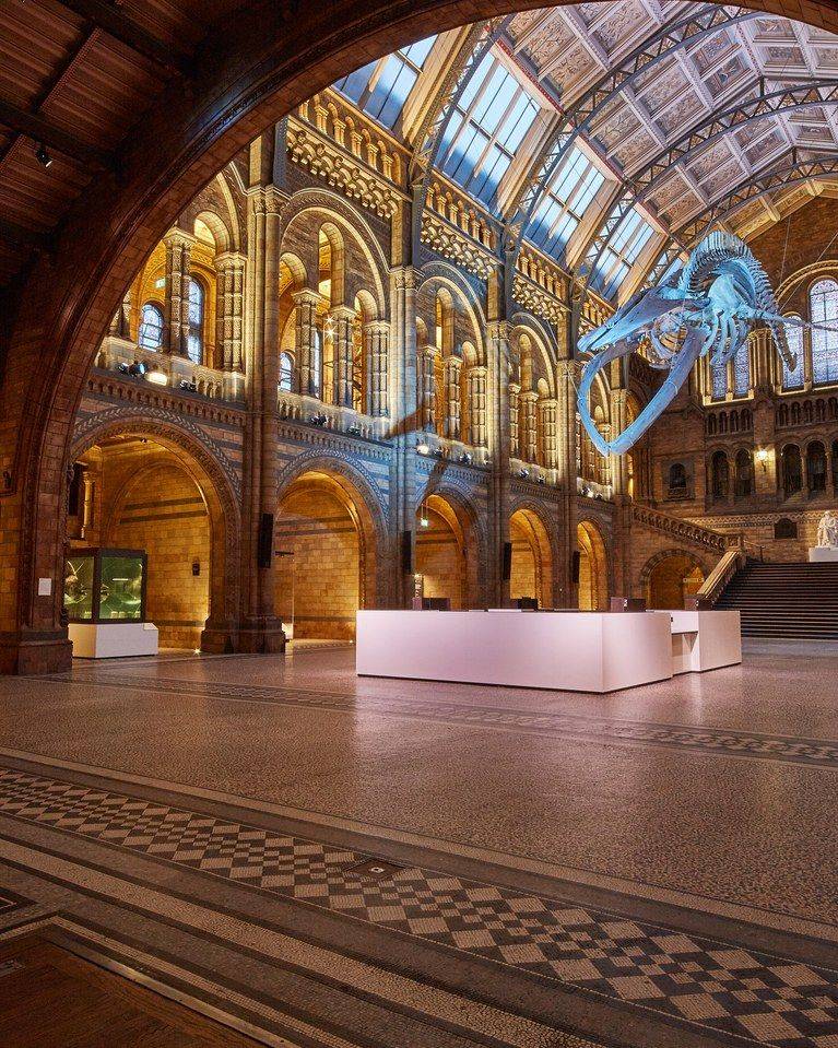 Музей естественной истории в лондоне