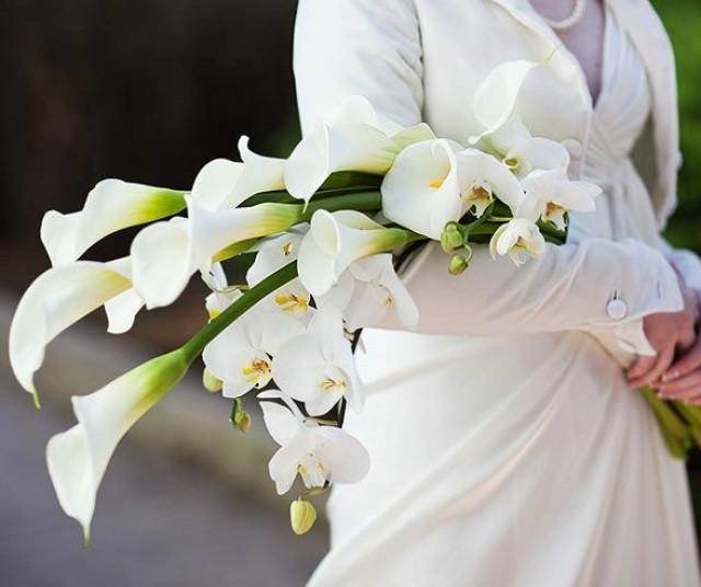 Свадебный букет невесты из калл: фото лучших букетов с каллами