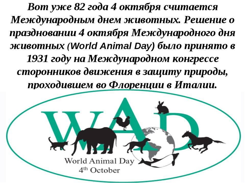 День животных: когда отмечают в 2019 году | ivanovo portal