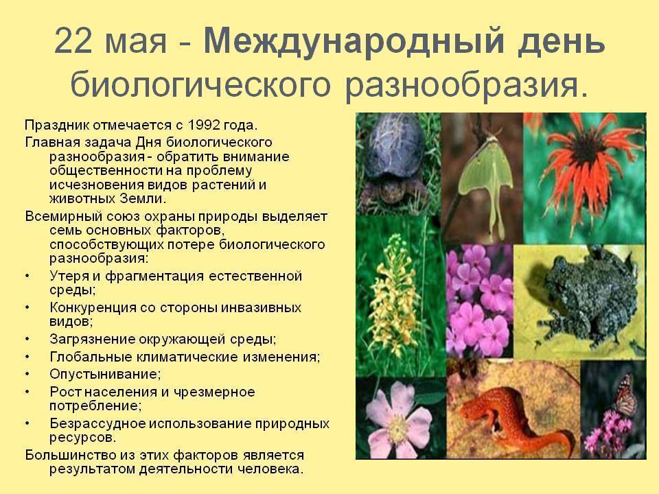 Международный день биологического разнообразия | медик03