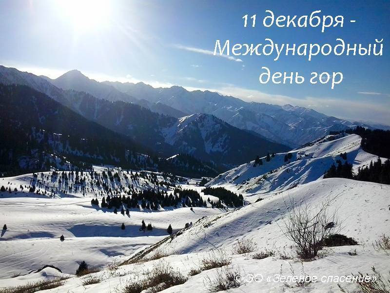 Международный день гор: история и особенности праздника :: syl.ru