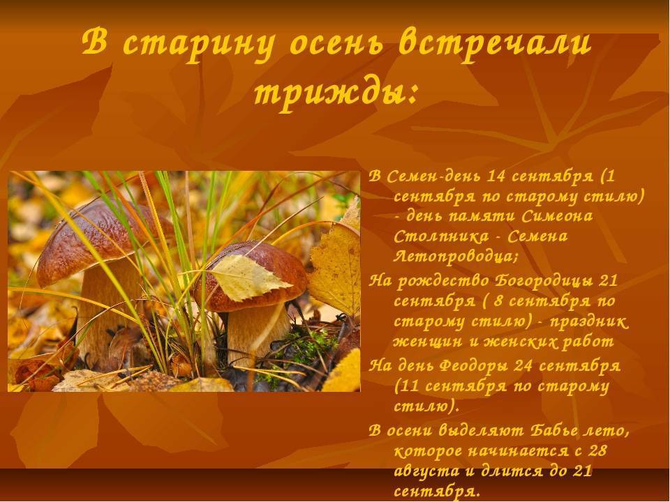 Сочинения на тему «осень» ???????? (8 примеров) по классам
