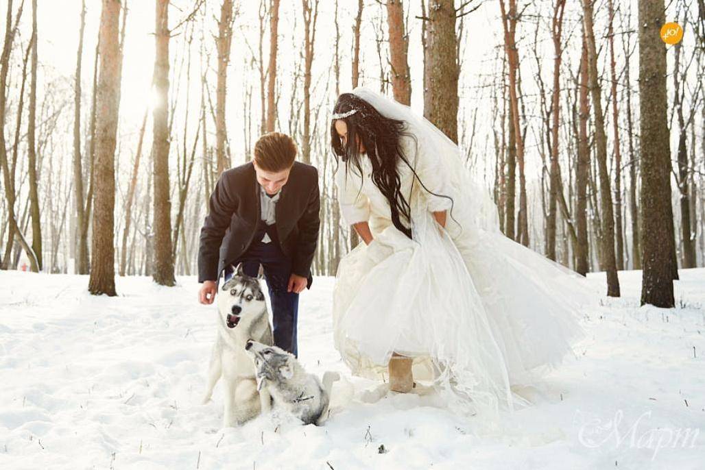 Зимняя свадьба — приглашения, стили, декор, аксессуары