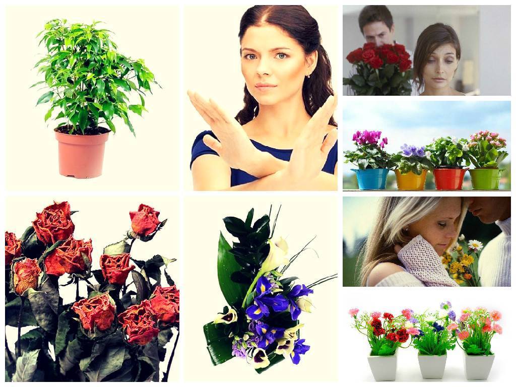 Можно ли дарить искусственные цветы живым людям
