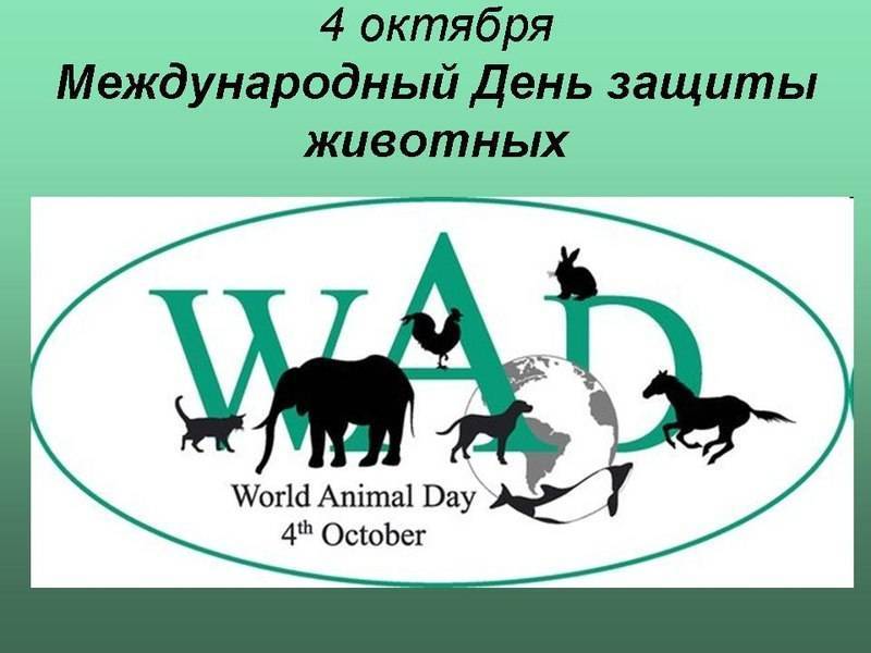 5 фактов о всемирном дне защиты животных