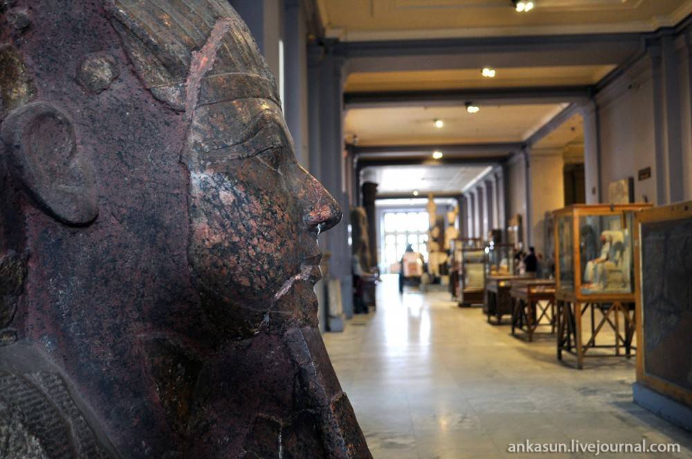 Описание египетского музея в каире с фотографиями и отзывами