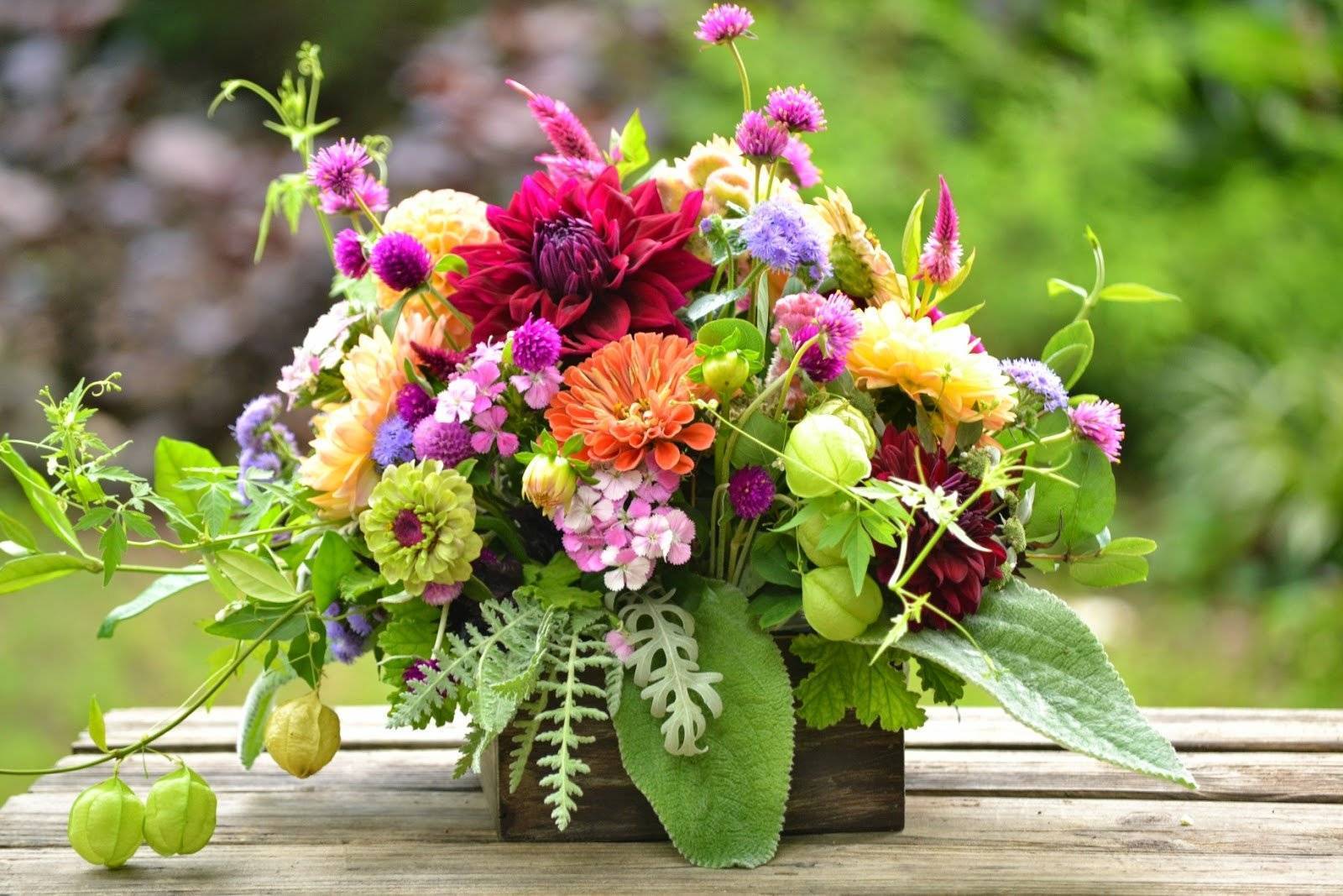 Как правильно дарить цветы: основные правила цветочного этикета