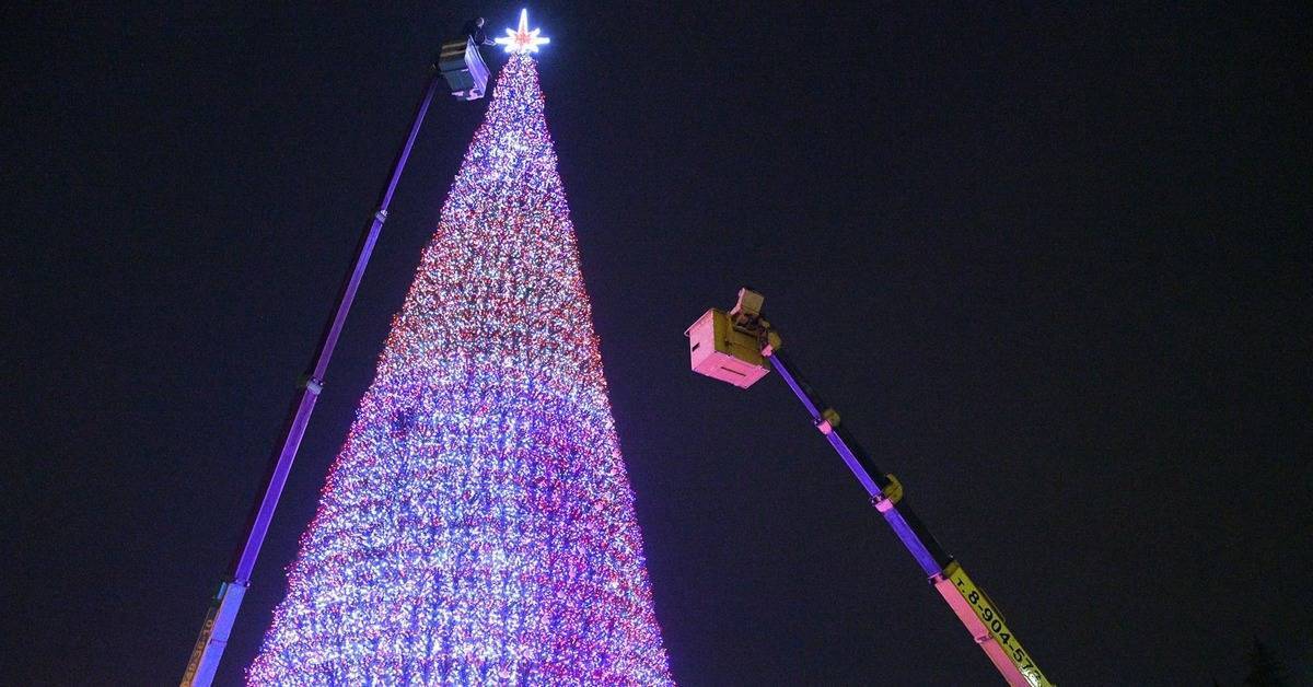 Новогодняя елка: история дерева и праздника, легенды, факты| wikidedmoroz.ru