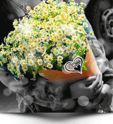 Цветы счастья: спатифиллум, антуриум, аихризон. какие растения привлекают в дом счастье и любовь? - sadovnikam.ru