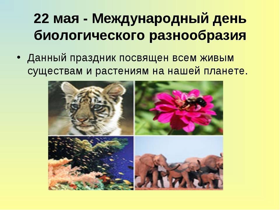 Международный день биологического разнообразия - international day for biological diversity - abcdef.wiki