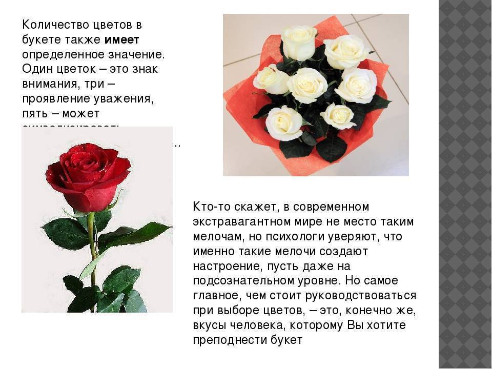 О каких чувствах расскажет подаренный букет роз: значение цветов и количества роз :: инфониак