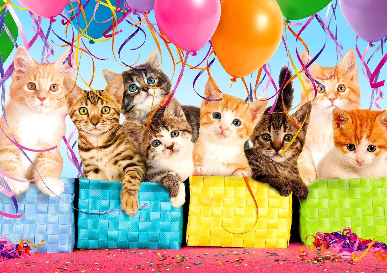Детский день рождения в стиле «три кота»