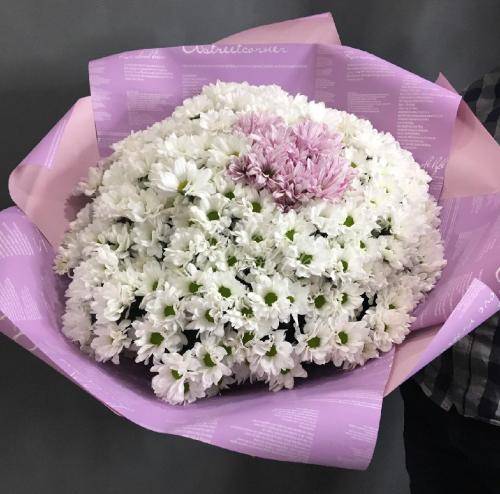 К чему принято дарить хризантемы и какое значение этих цветов? - автор ирина колосова - журнал женское мнение