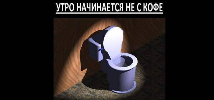 Какого числа всемирный день туалета? :: syl.ru