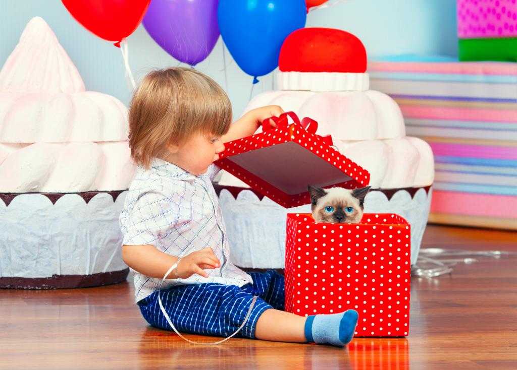 Что подарить мальчику на 2 года - критерии по выбору подарка, советы, фото идеи подарков