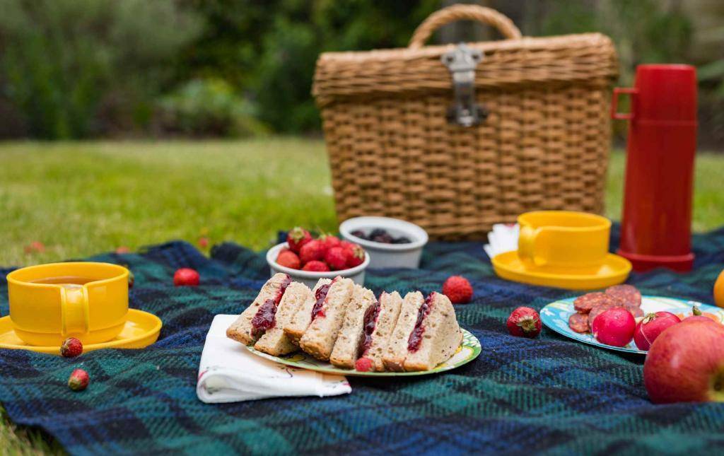 Закуски для пикника на природе летом