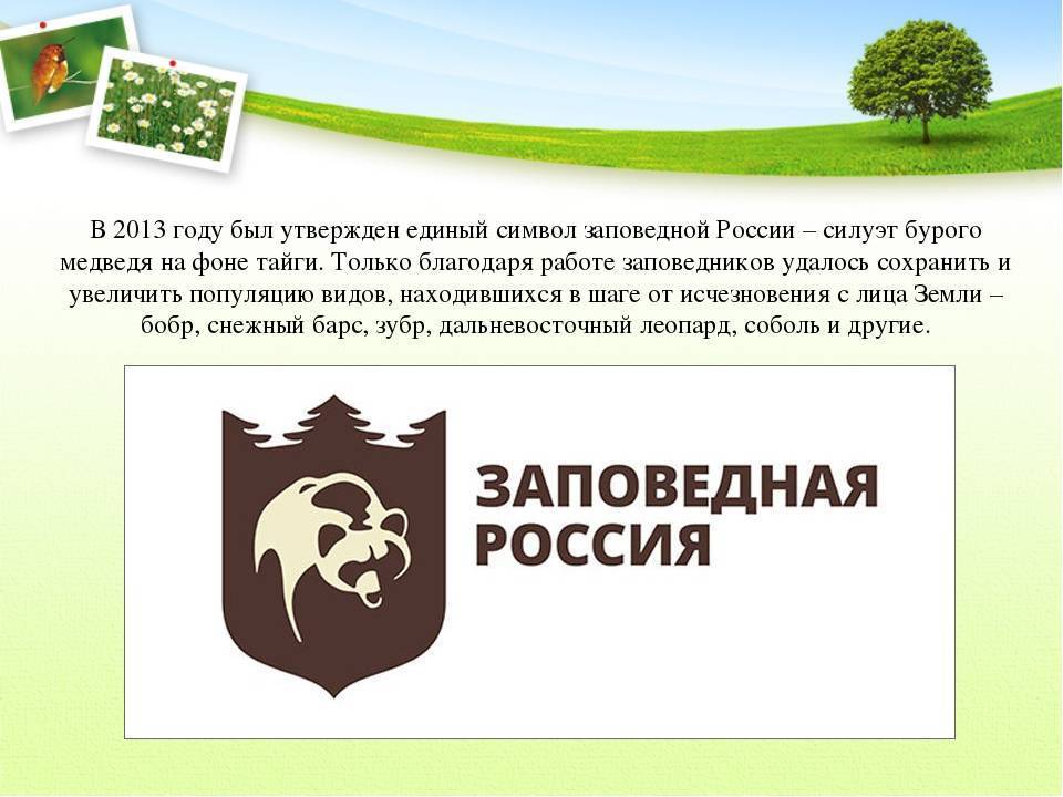 День заповедников и национальных парков россии 2021, 11 января, мероприятия, в библиотеке, картинки