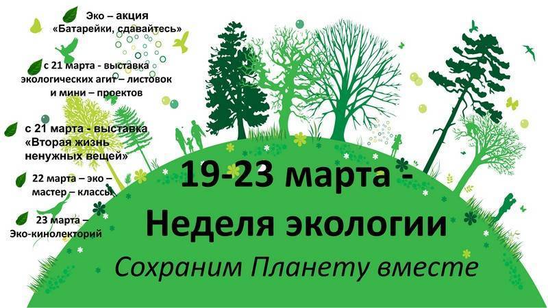 Организация экологического воспитания школьников «экологический год»