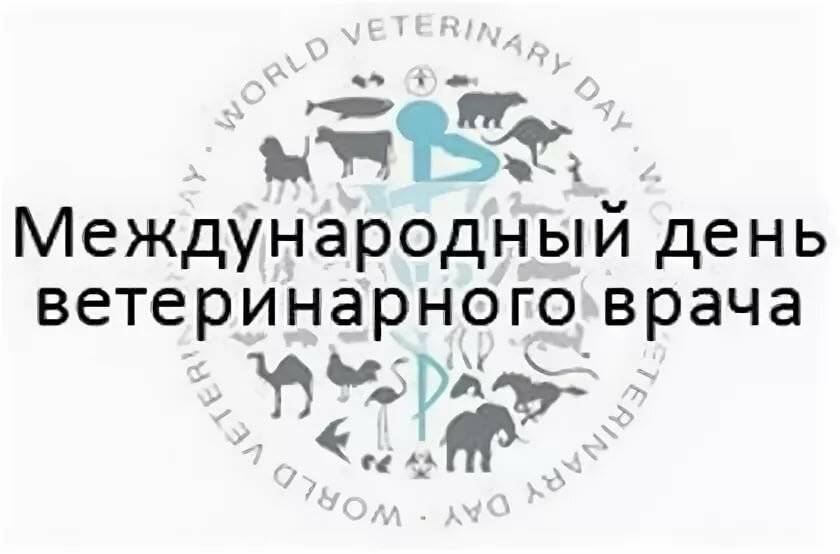 День ветеринарного работника в 2022 году: какого числа отмечают, дата и история праздника