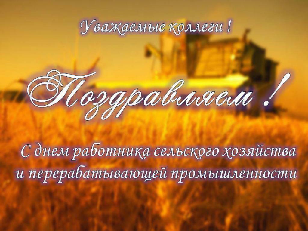 День работников сельского хозяйства в украине, беларуси и казахстане 