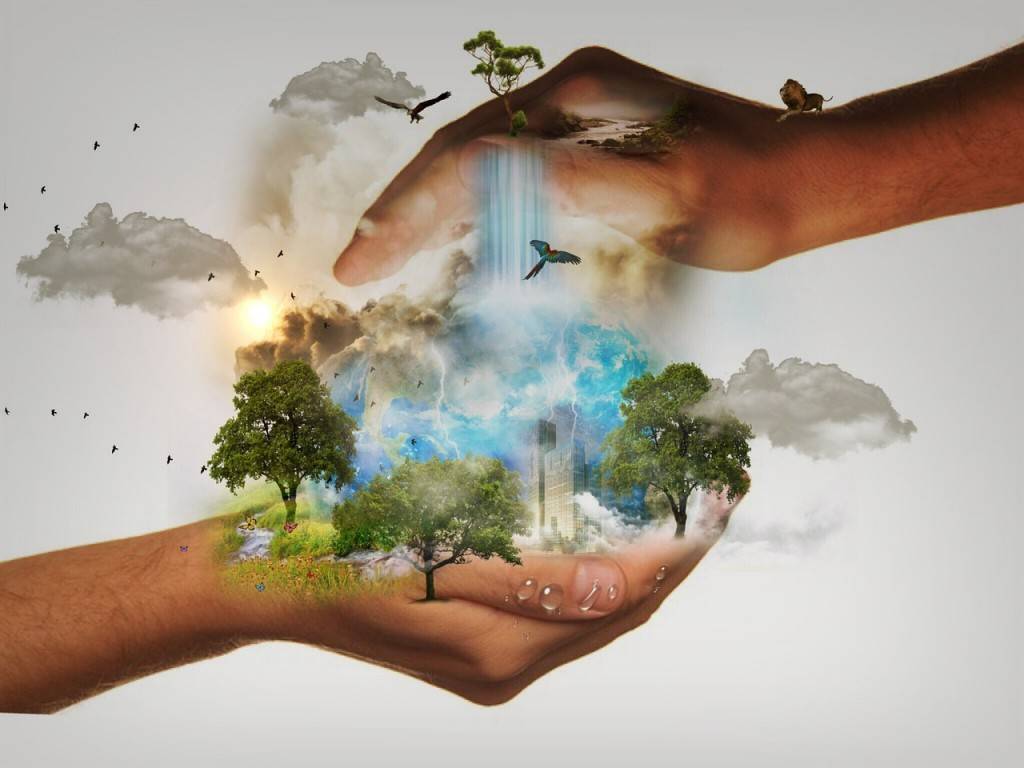 Как спасти окружающую среду (для подростков) - wikihow