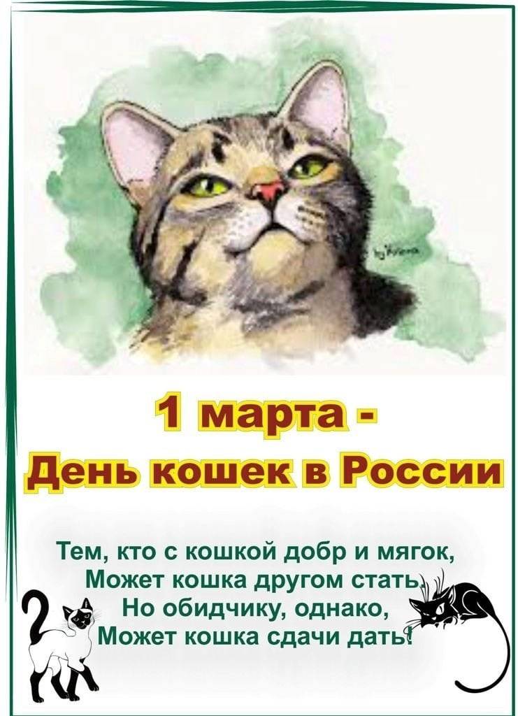 Всемирный день кошек: как отмечают в россии? особенности и традиции