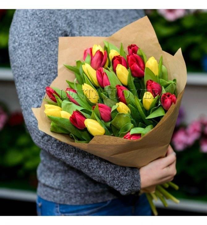 Сколько и какого цвета нужно дарить тюльпаны? кому и по каким поводам?